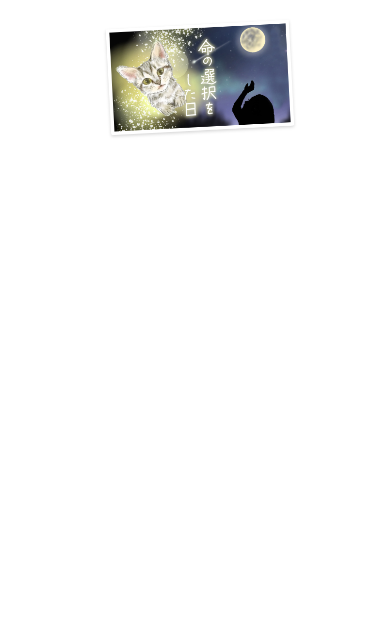 思いっきり泣ける絵本MOVIE 見放題